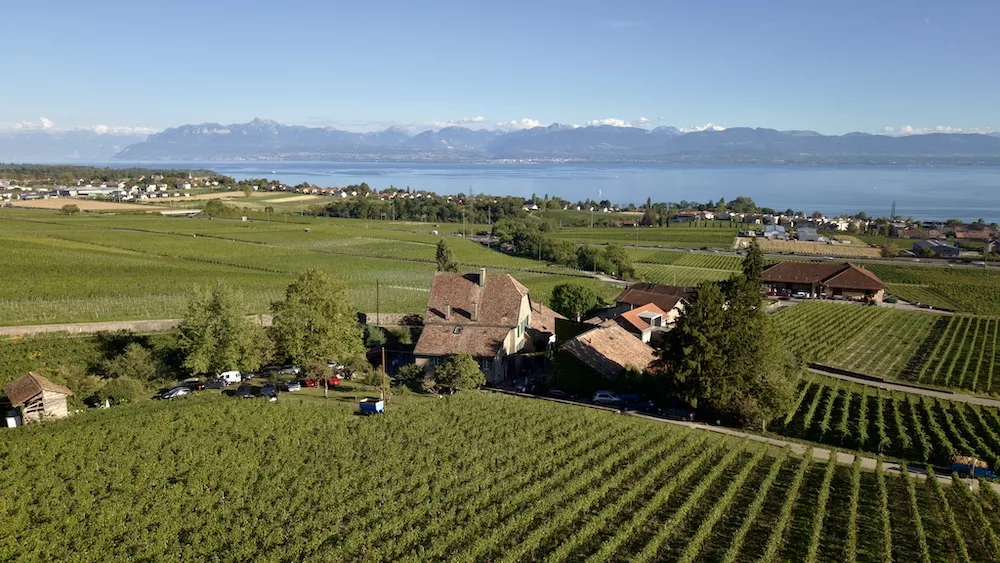 Domaine de Morsier "En Crochet"