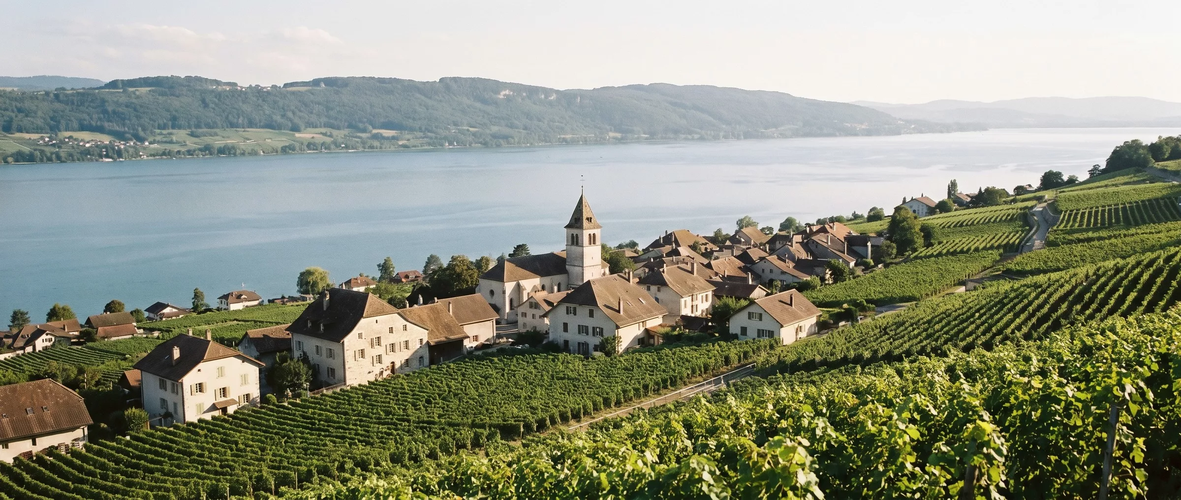 Le bourg médiéval du Landeron et ses vignes sur le versant du Jura, le lac de Bienne au loin